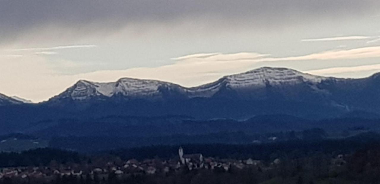 Alpenblick Apartment *
